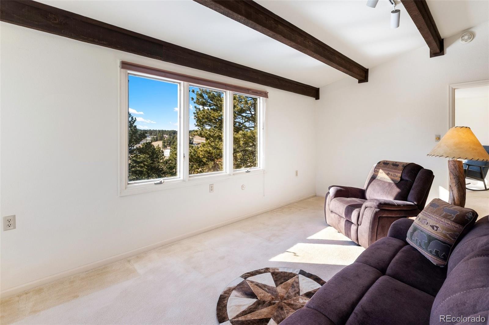 MLS Image #21 for 231 s forty road,woodland park, Colorado