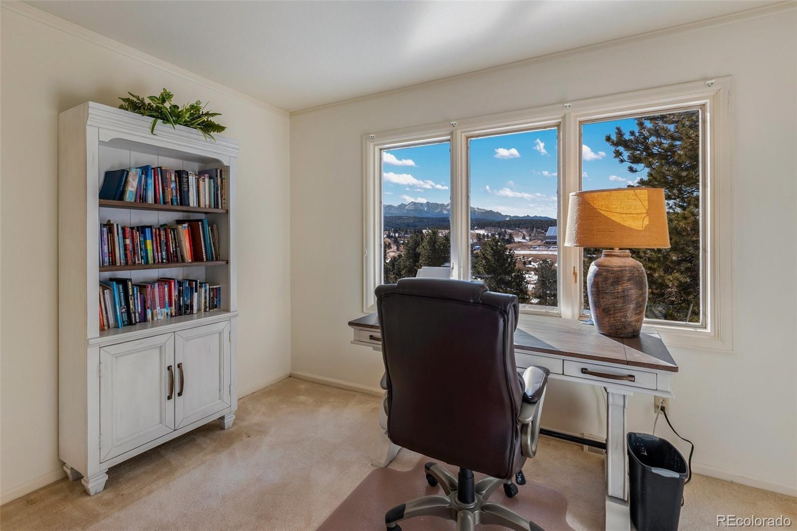 MLS Image #22 for 231 s forty road,woodland park, Colorado