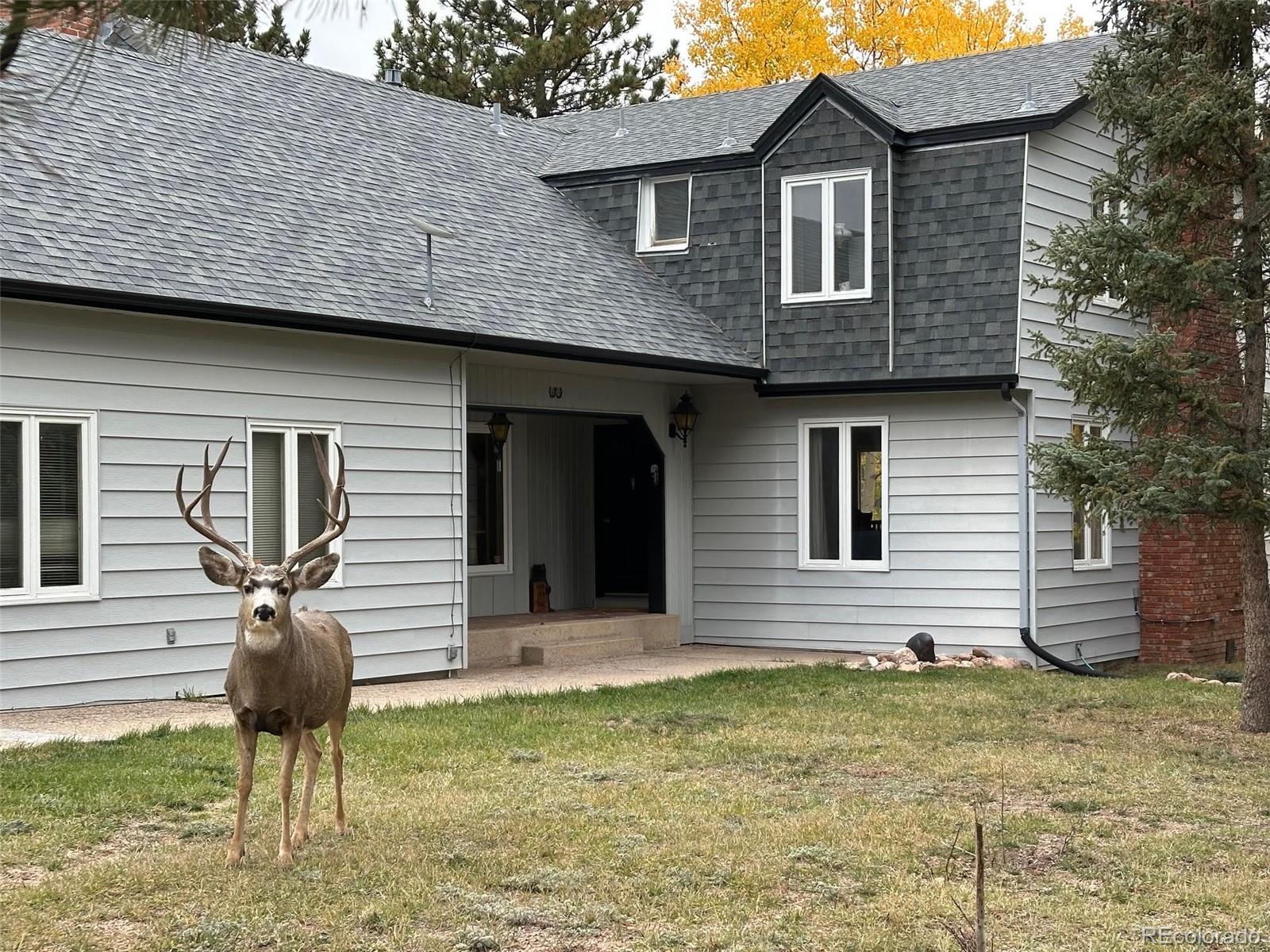 MLS Image #37 for 231 s forty road,woodland park, Colorado