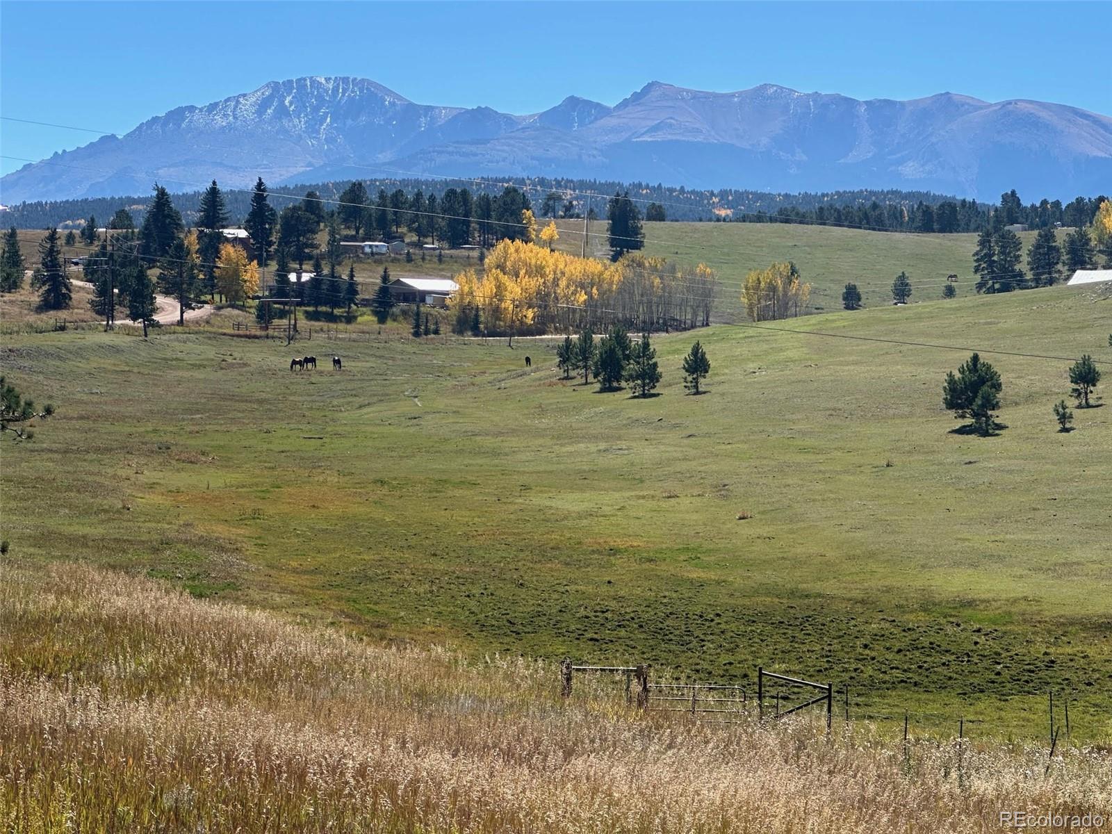 MLS Image #48 for 231 s forty road,woodland park, Colorado