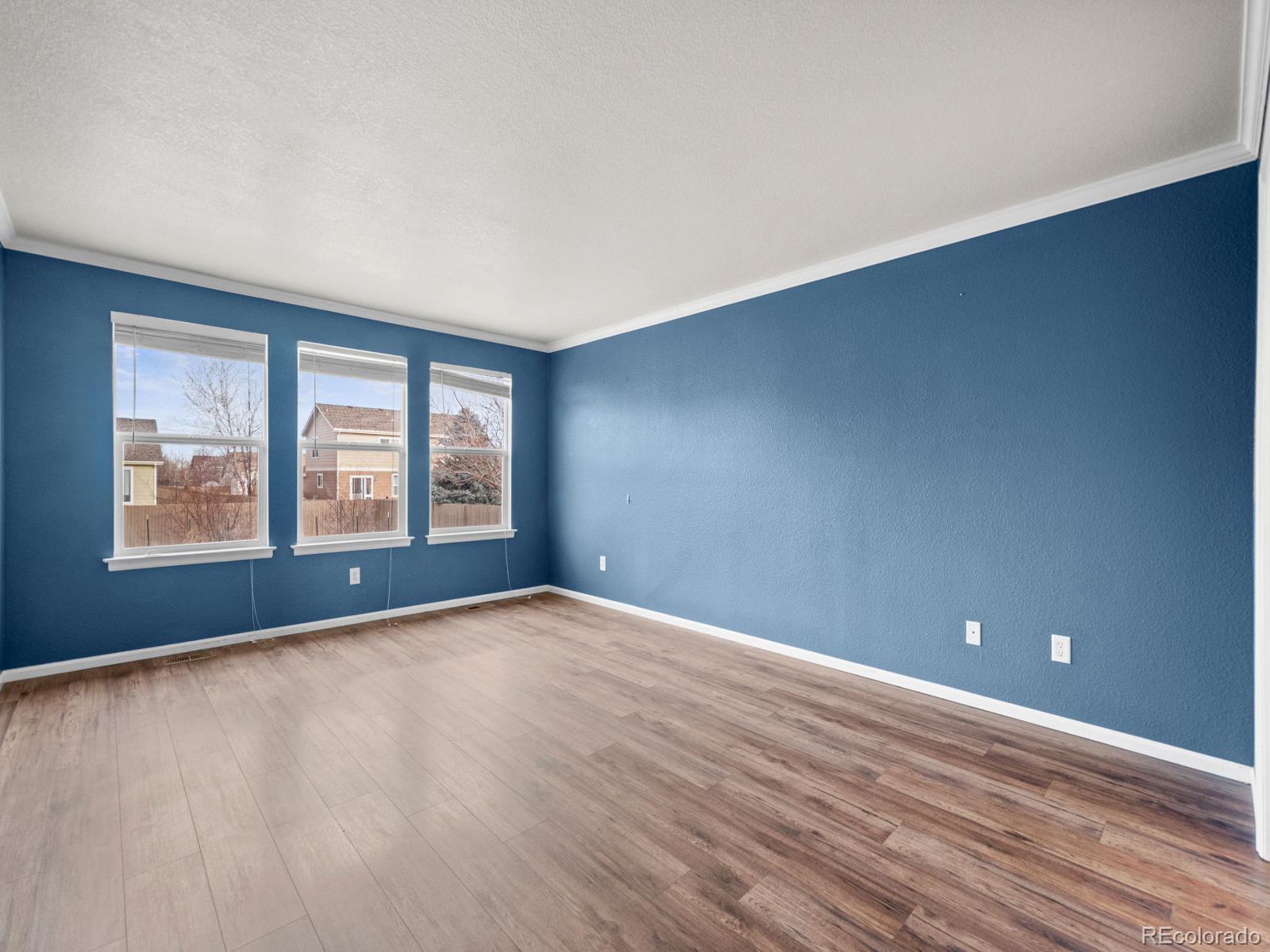 MLS Image #23 for 1285  kittery street,castle rock, Colorado
