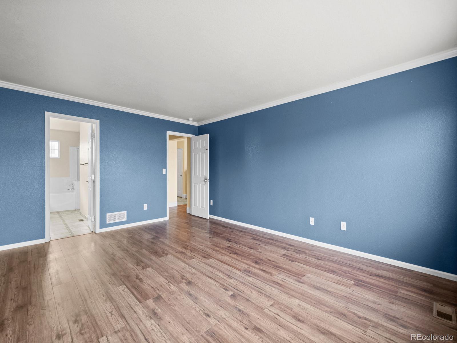MLS Image #24 for 1285  kittery street,castle rock, Colorado