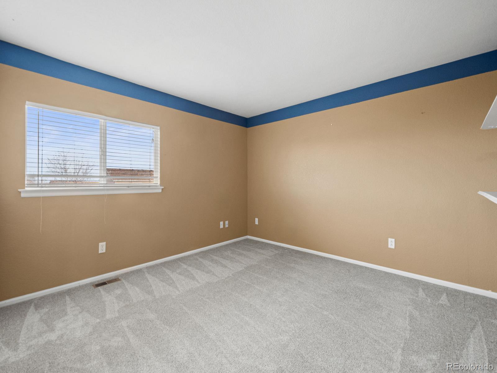 MLS Image #30 for 1285  kittery street,castle rock, Colorado