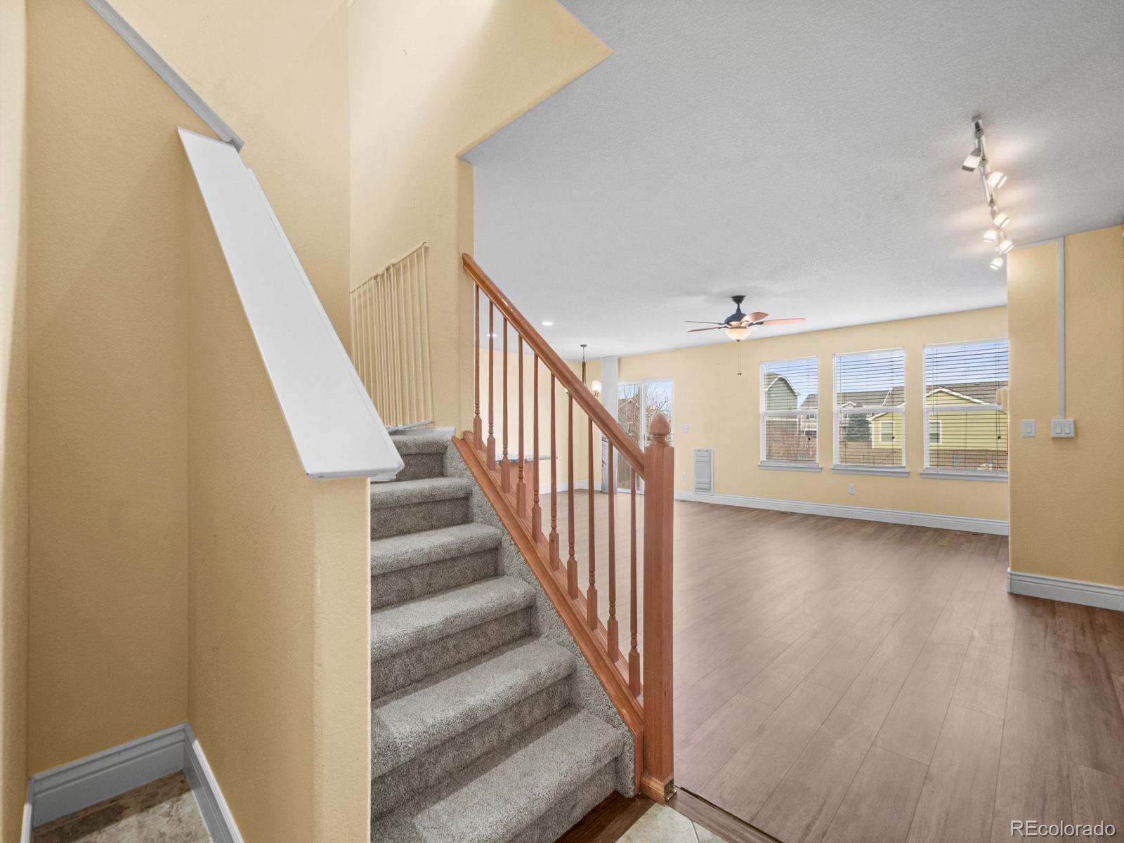 MLS Image #4 for 1285  kittery street,castle rock, Colorado