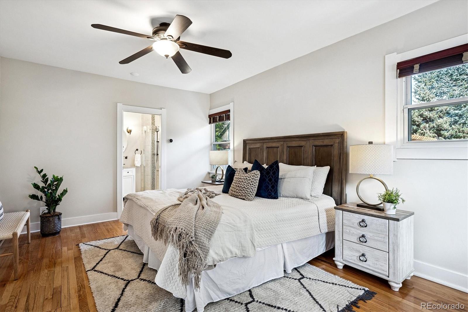 MLS Image #20 for 1600  ivanhoe street,denver, Colorado