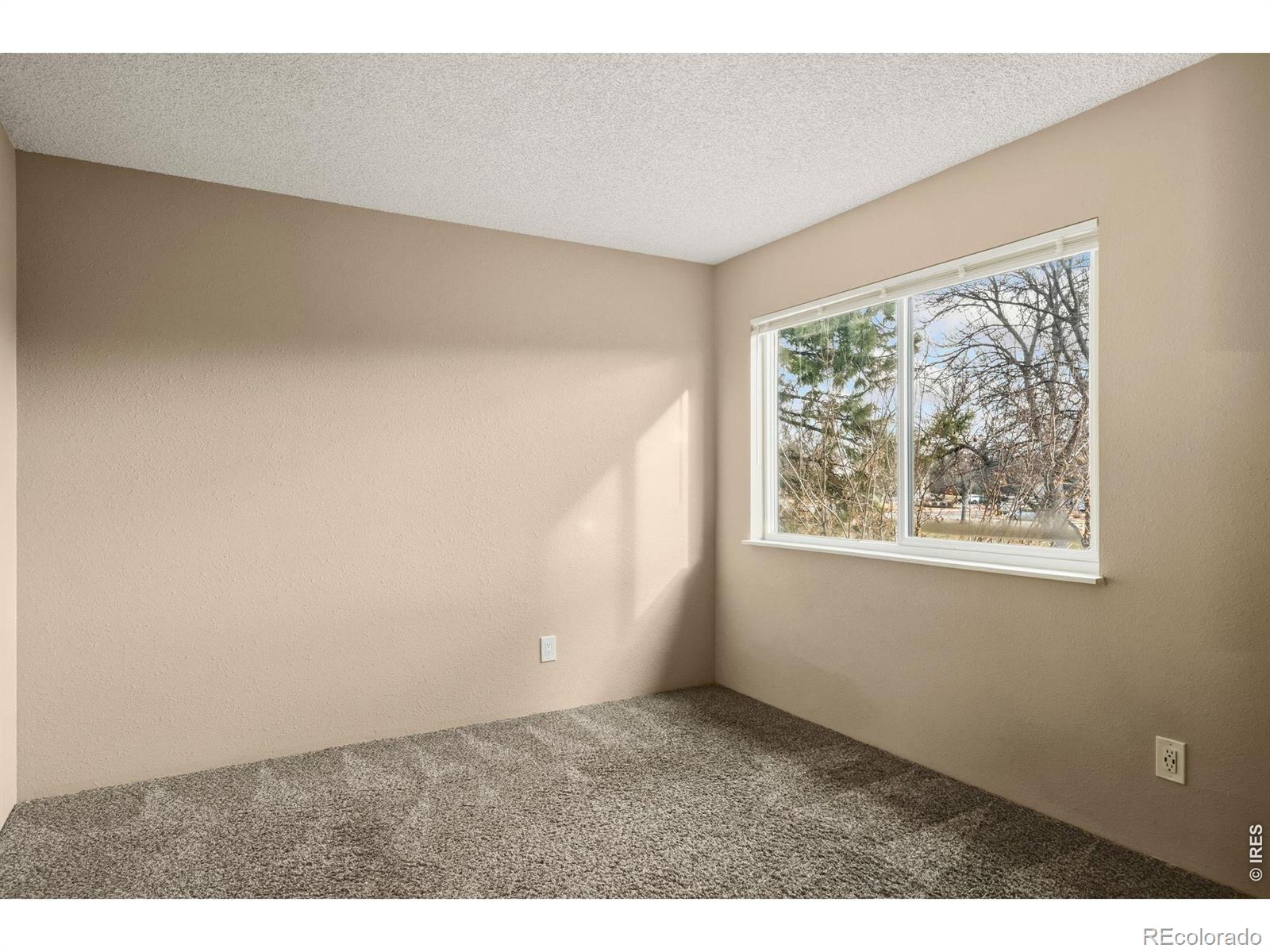 MLS Image #8 for 1705  heatheridge road,fort collins, Colorado
