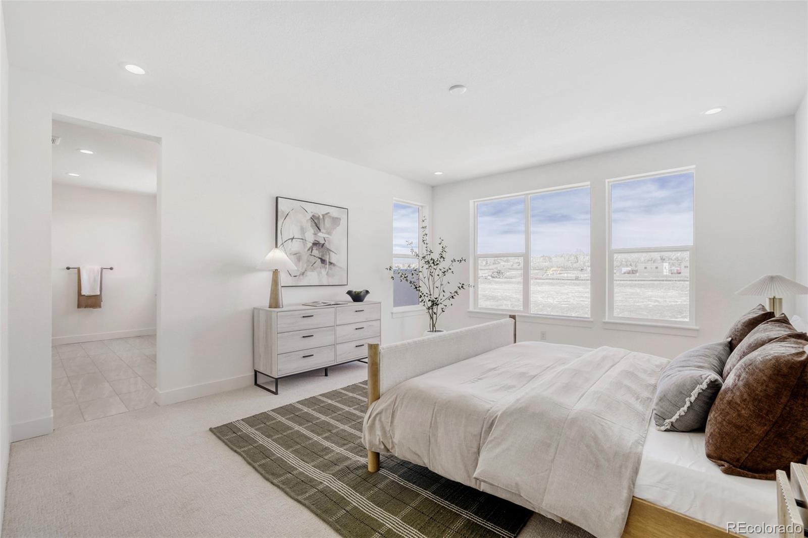 MLS Image #8 for 7712 s irving street ,littleton, Colorado