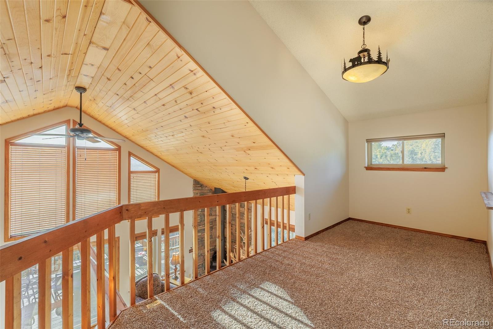 MLS Image #12 for 752  cottonwood lake drive,divide, Colorado