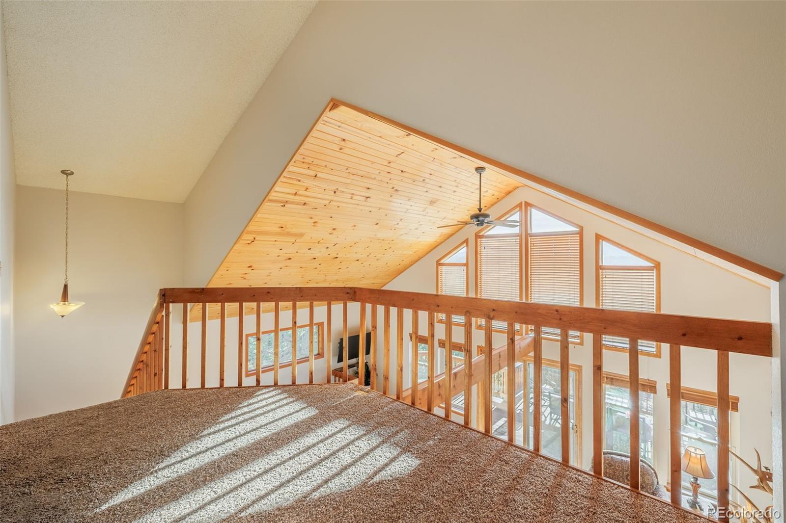 MLS Image #13 for 752  cottonwood lake drive,divide, Colorado