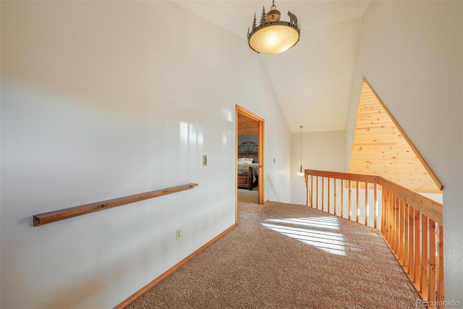 MLS Image #14 for 752  cottonwood lake drive,divide, Colorado