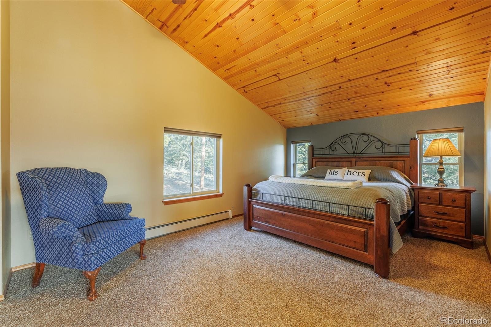 MLS Image #15 for 752  cottonwood lake drive,divide, Colorado