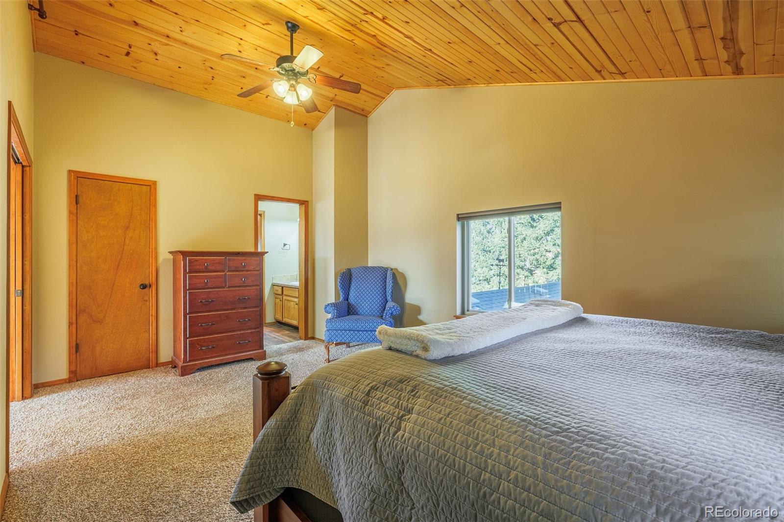 MLS Image #17 for 752  cottonwood lake drive,divide, Colorado