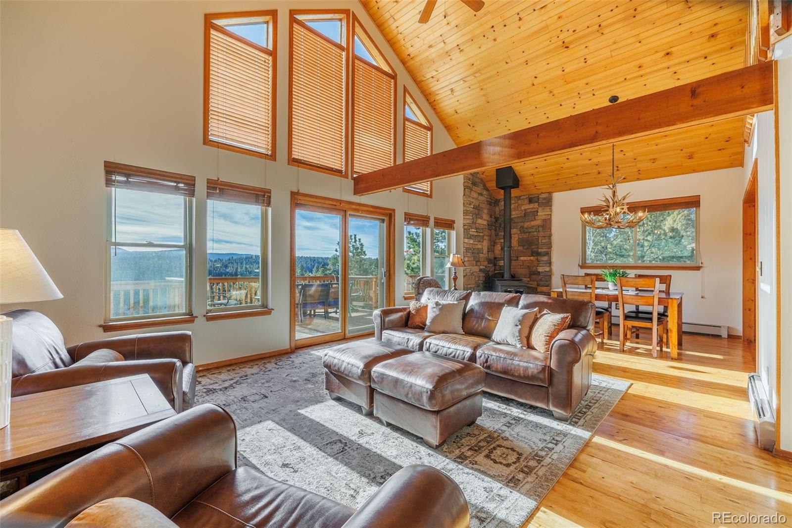 MLS Image #20 for 752  cottonwood lake drive,divide, Colorado