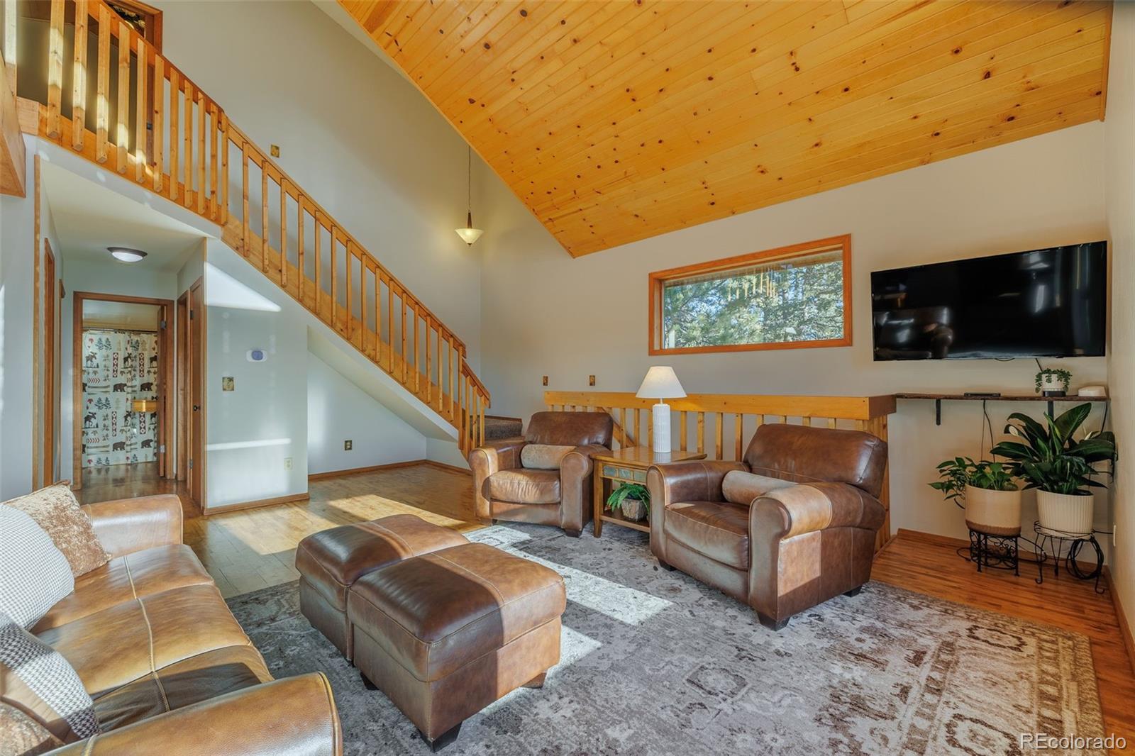 MLS Image #21 for 752  cottonwood lake drive,divide, Colorado