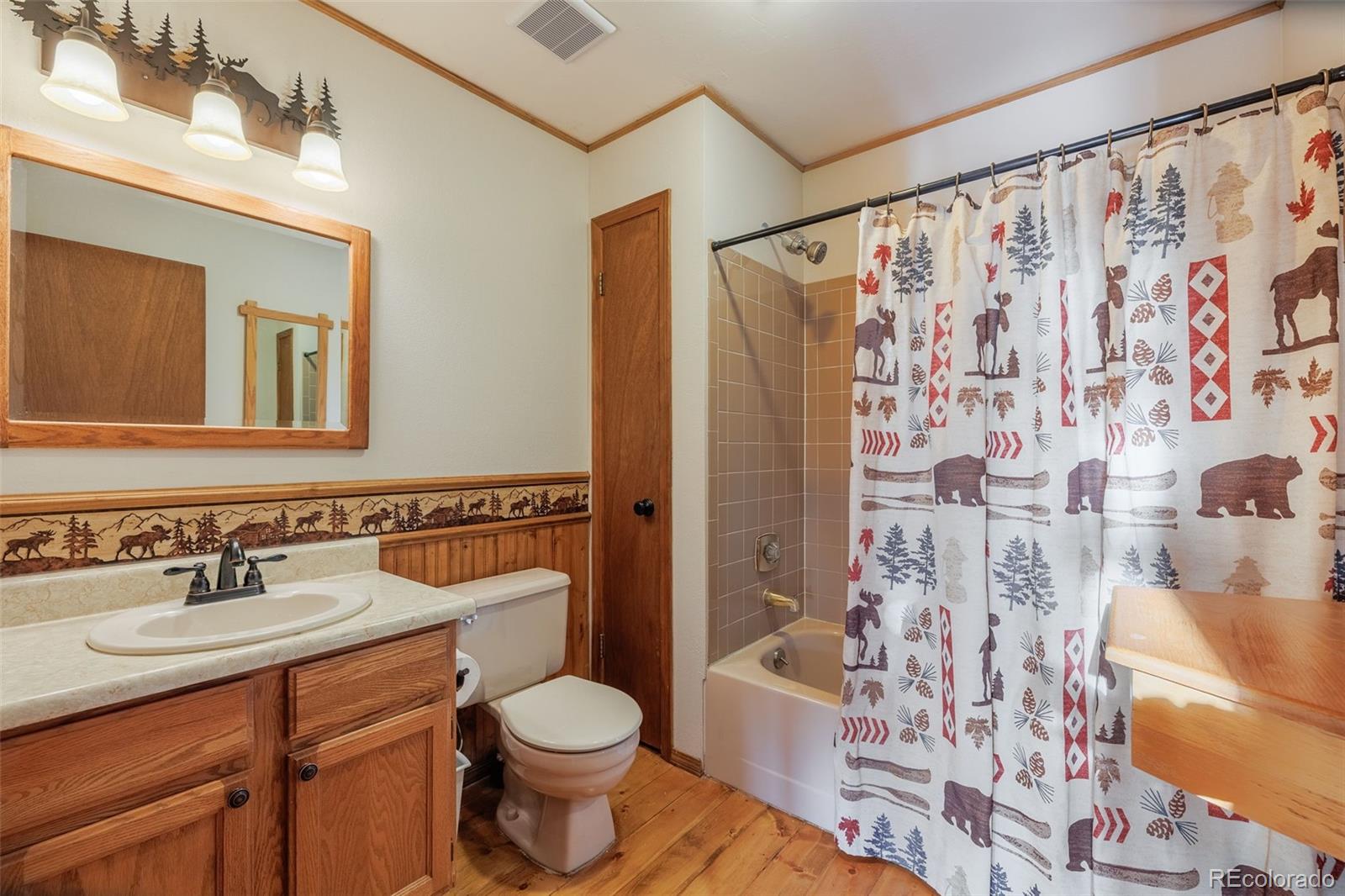 MLS Image #23 for 752  cottonwood lake drive,divide, Colorado