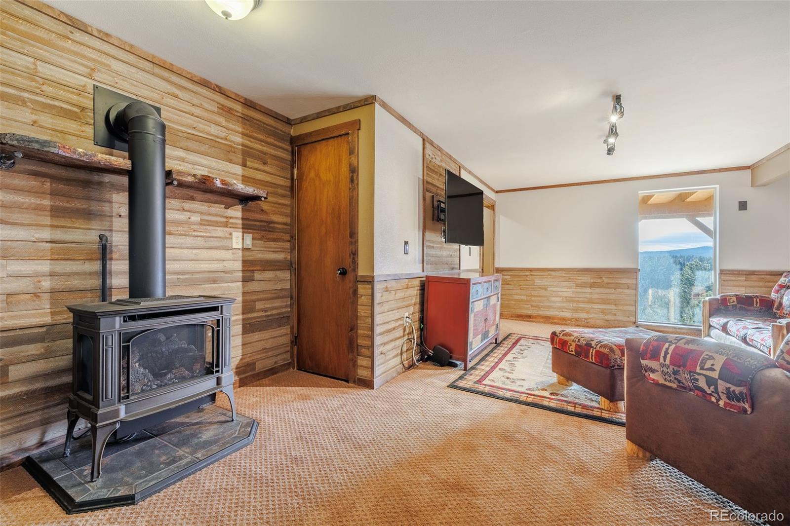 MLS Image #28 for 752  cottonwood lake drive,divide, Colorado