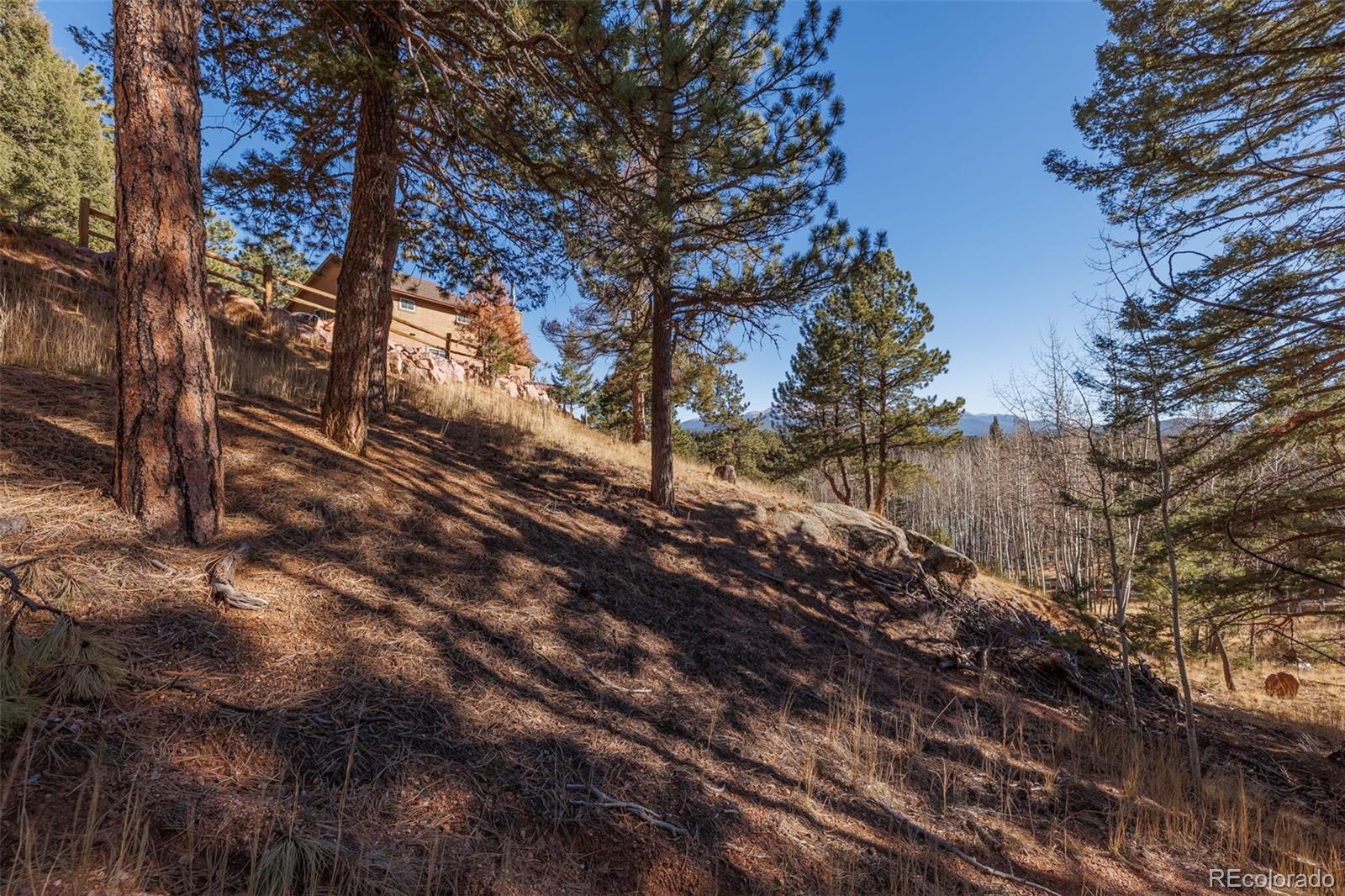 MLS Image #42 for 752  cottonwood lake drive,divide, Colorado