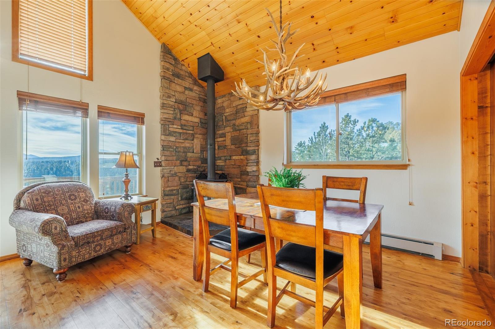 MLS Image #9 for 752  cottonwood lake drive,divide, Colorado