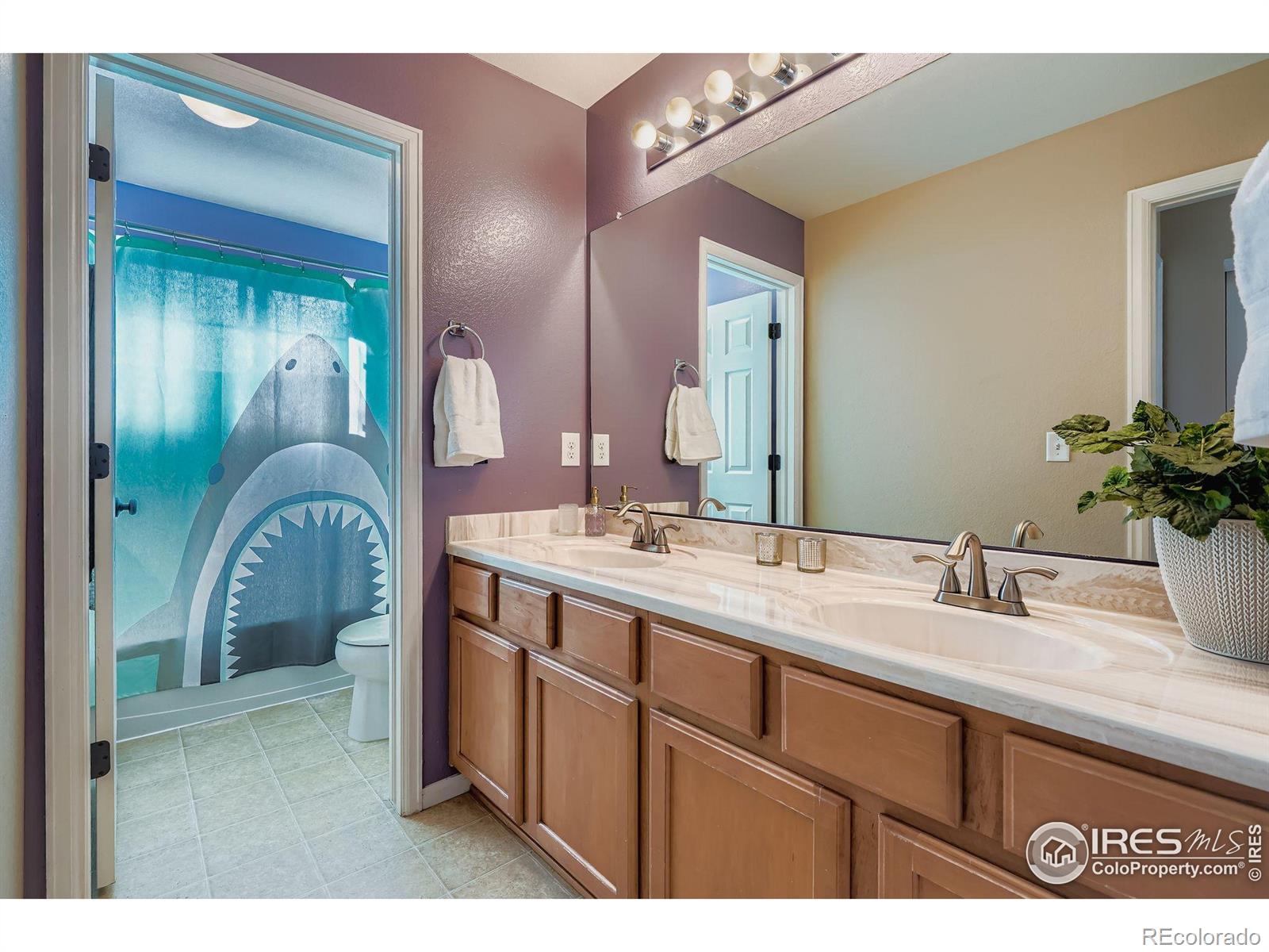 MLS Image #18 for 2011  alpine drive,erie, Colorado