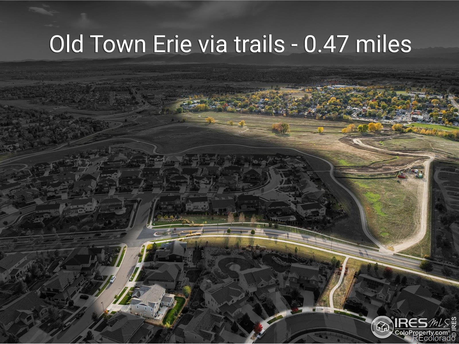 MLS Image #7 for 505  orion avenue,erie, Colorado