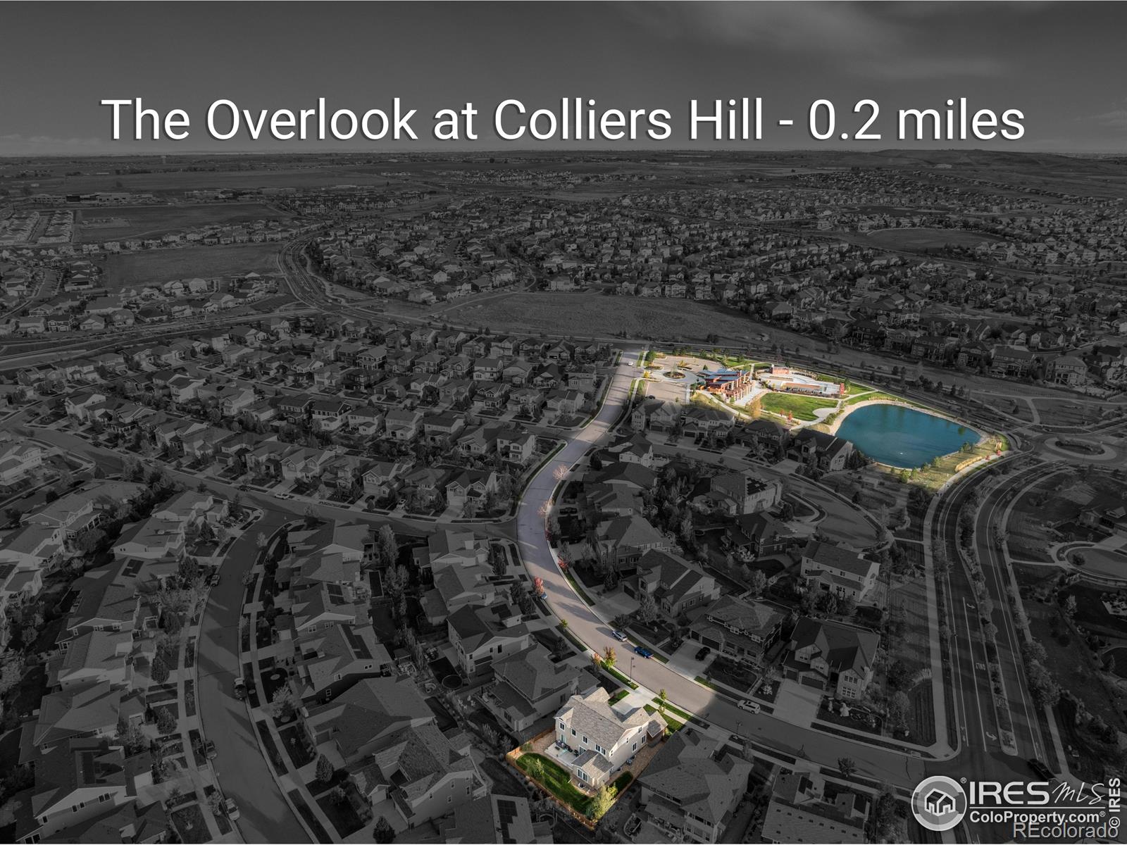 MLS Image #8 for 505  orion avenue,erie, Colorado