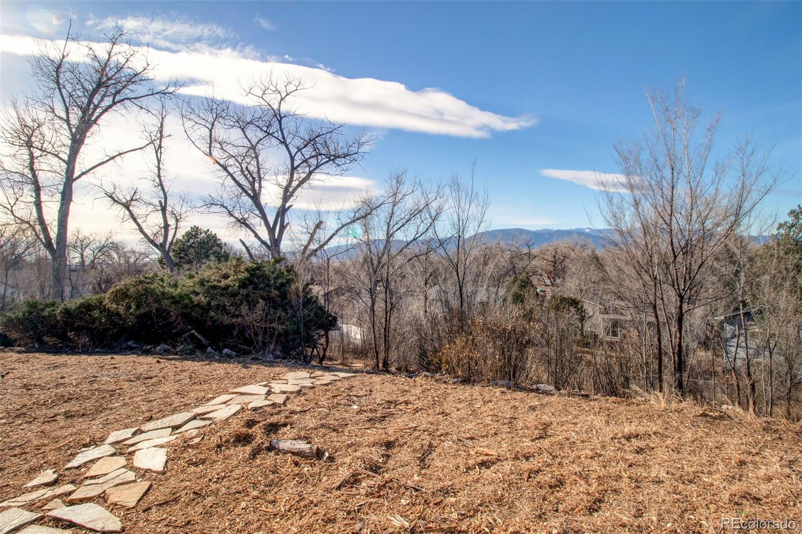MLS Image #29 for 206  cielo vista street,colorado springs, Colorado