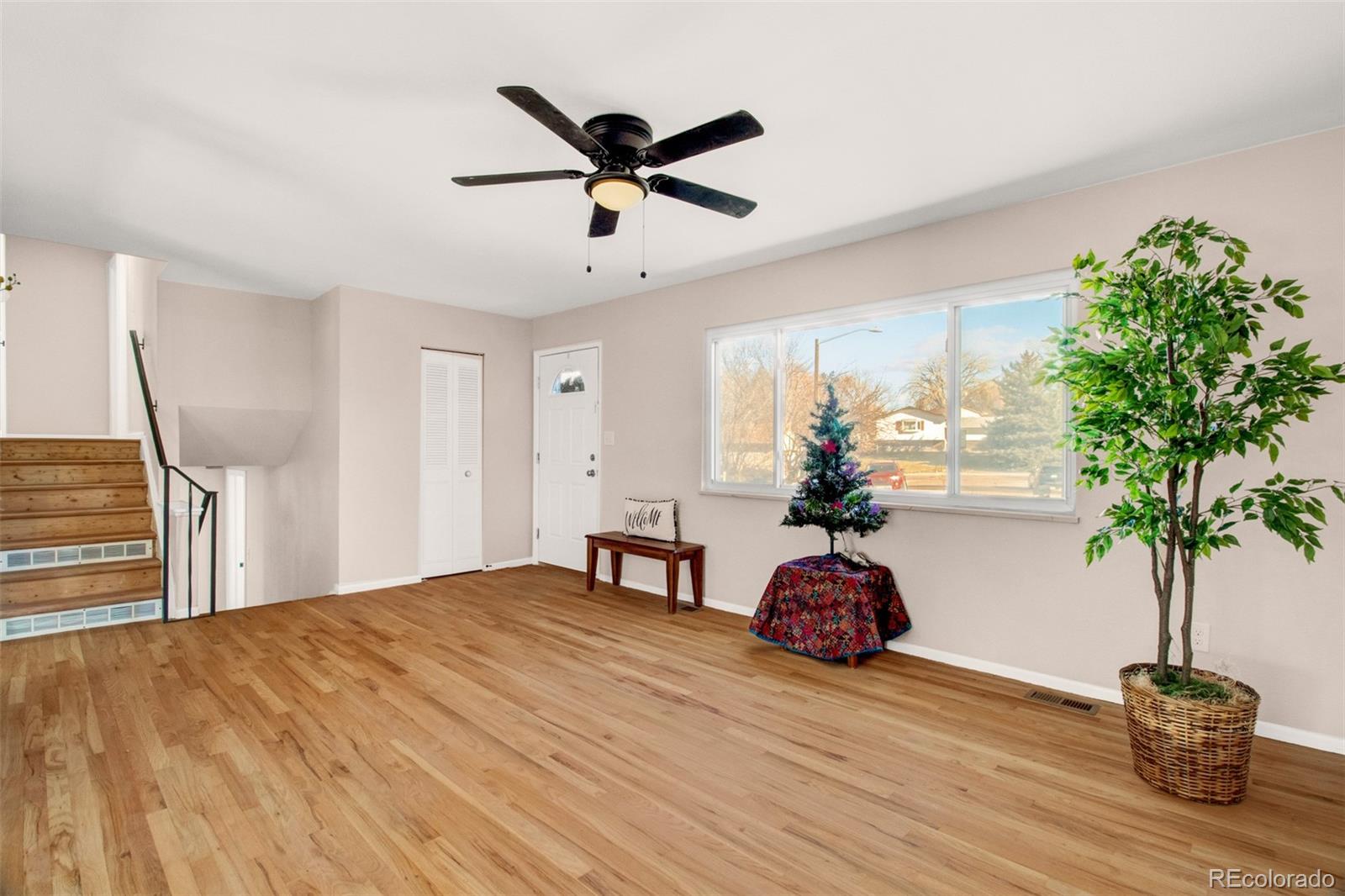 MLS Image #3 for 206  cielo vista street,colorado springs, Colorado