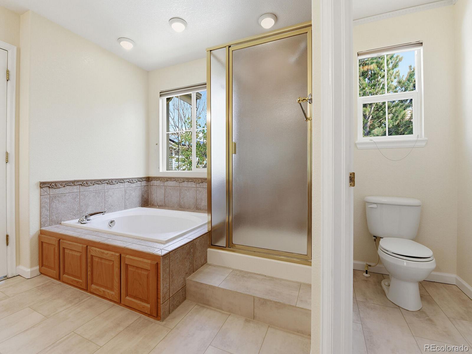 MLS Image #21 for 10584  cliffrose way,highlands ranch, Colorado