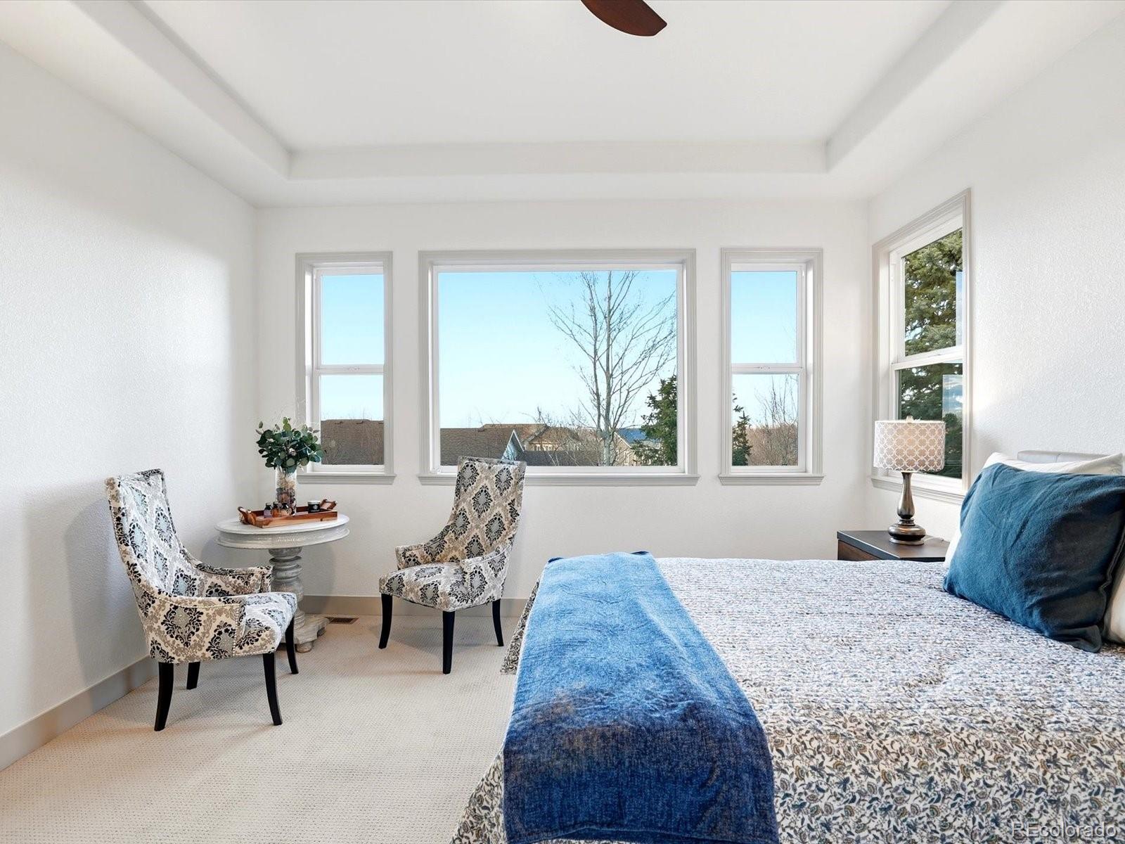 MLS Image #16 for 2733  pemberly avenue,highlands ranch, Colorado