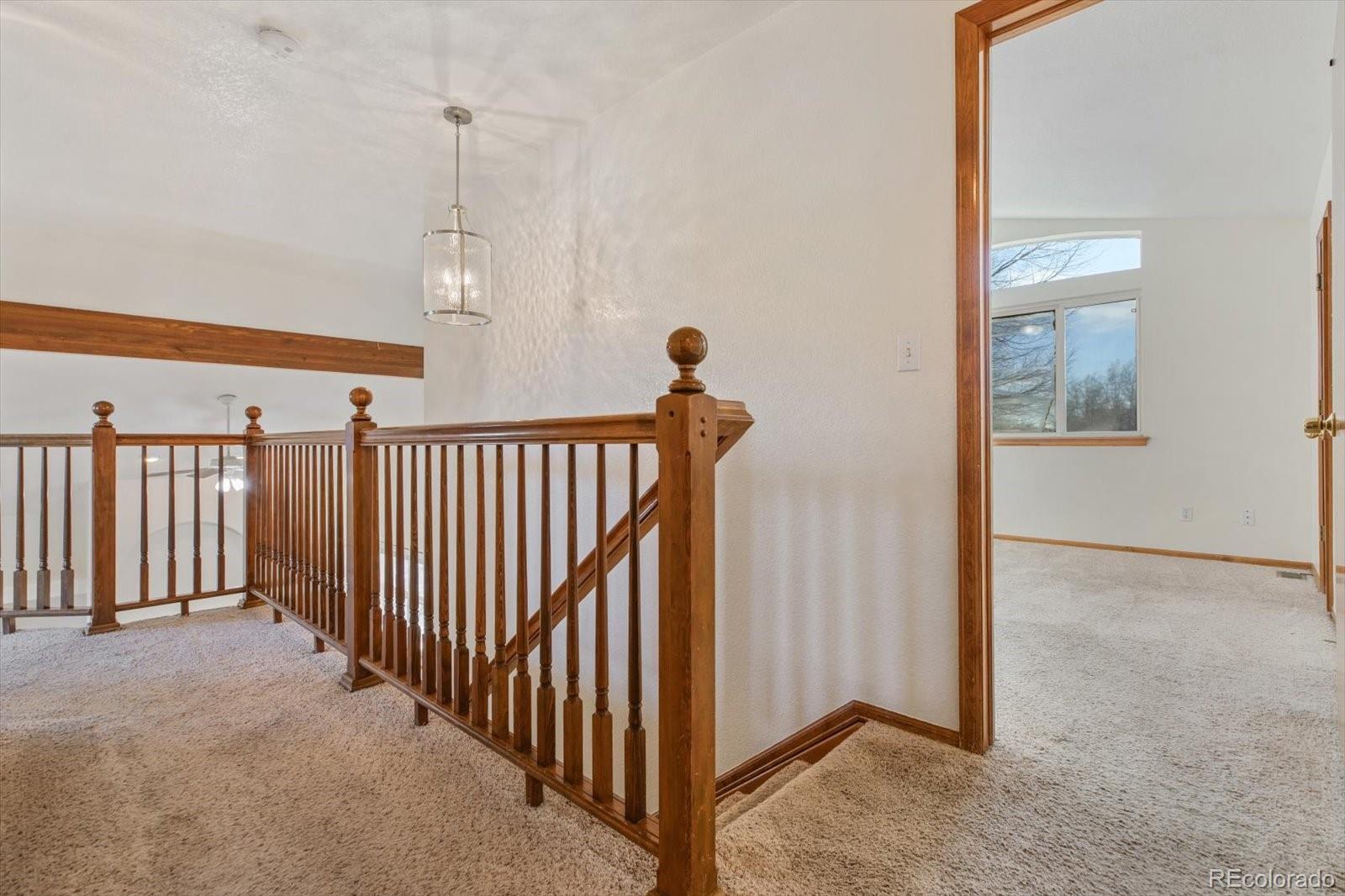 MLS Image #14 for 4259  snowbird avenue,broomfield, Colorado
