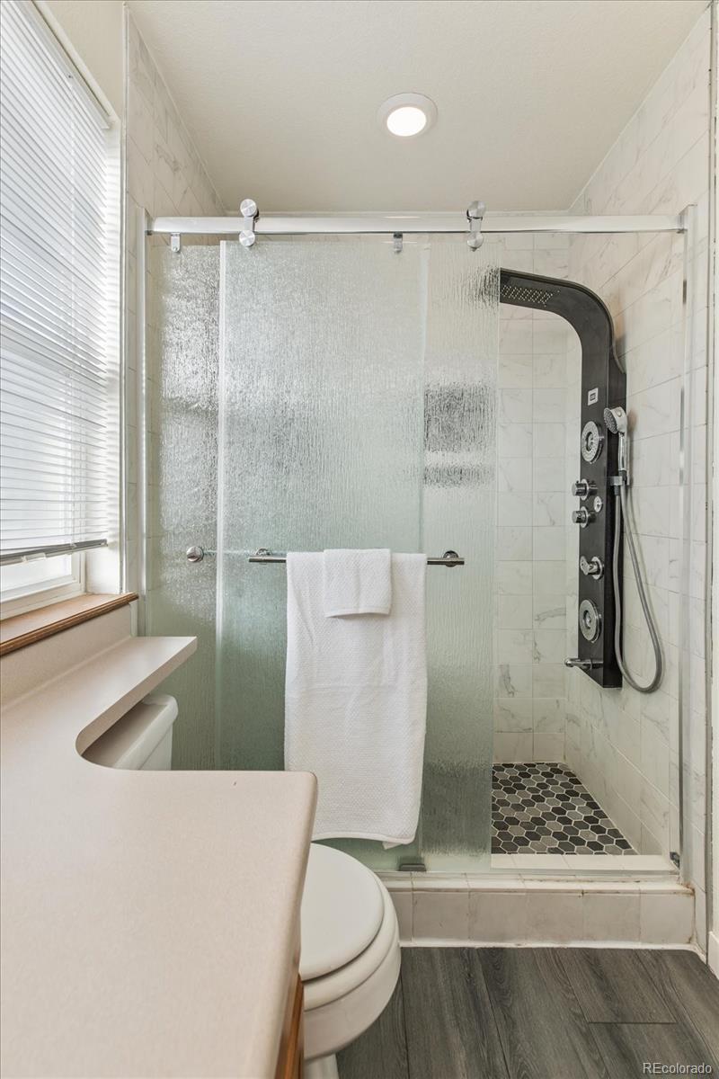 MLS Image #18 for 4259  snowbird avenue,broomfield, Colorado