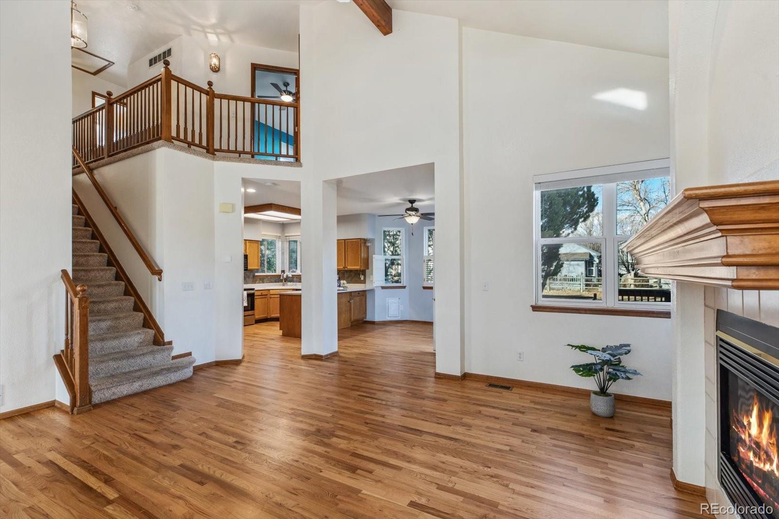 MLS Image #7 for 4259  snowbird avenue,broomfield, Colorado
