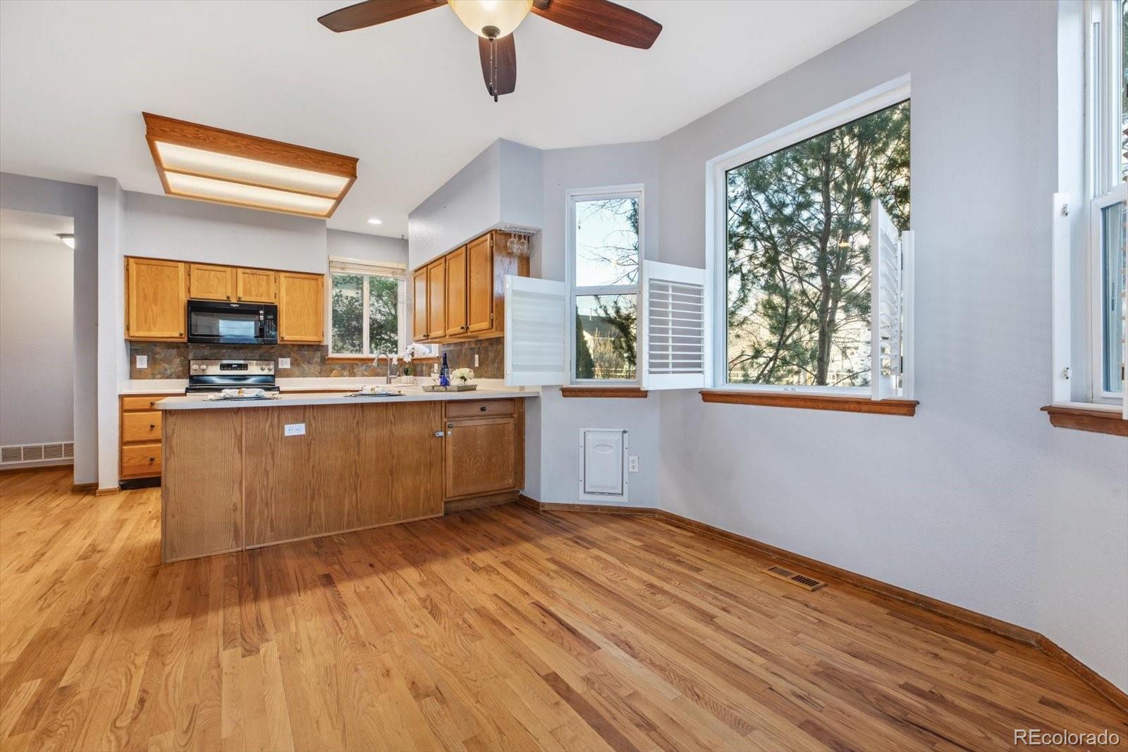 MLS Image #8 for 4259  snowbird avenue,broomfield, Colorado