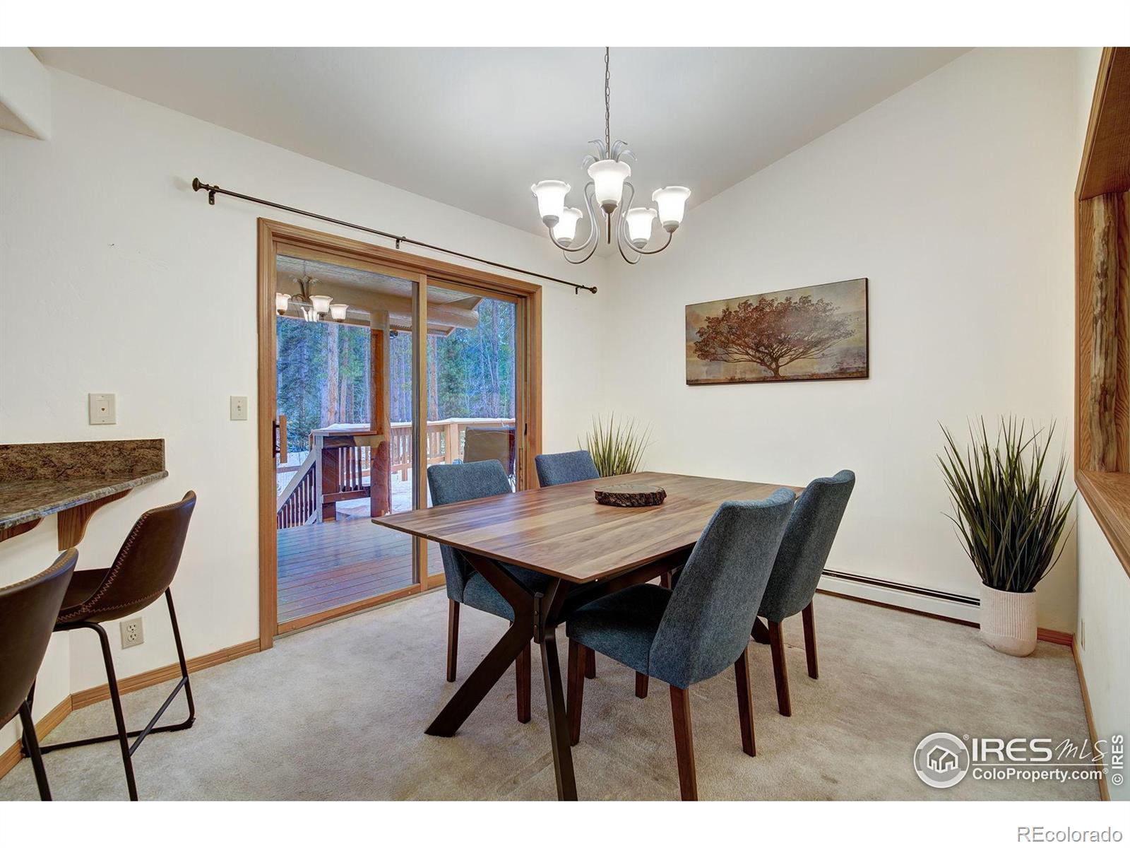 MLS Image #11 for 3824  ski hill road,breckenridge, Colorado