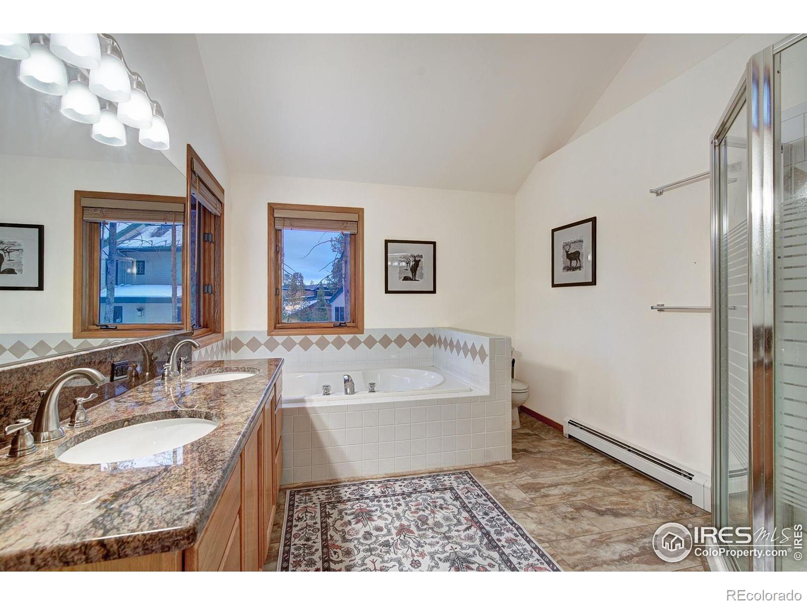 MLS Image #20 for 3824  ski hill road,breckenridge, Colorado