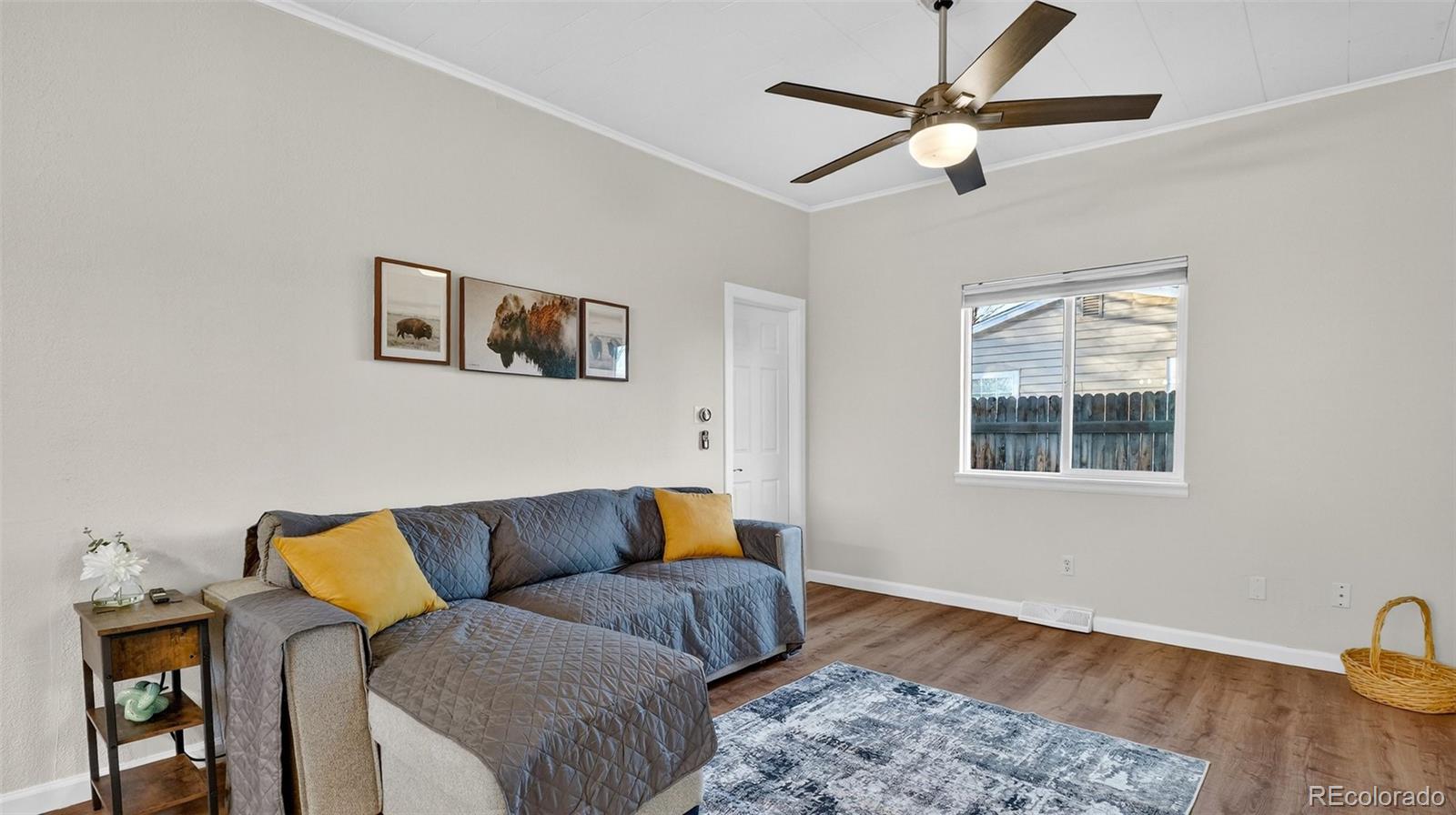 MLS Image #14 for 349  beech street,hudson, Colorado