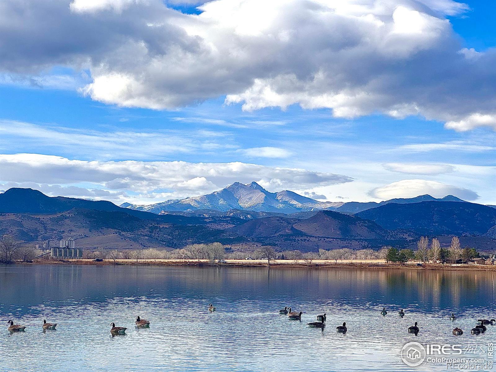 MLS Image #43 for 6724  mccall drive,longmont, Colorado