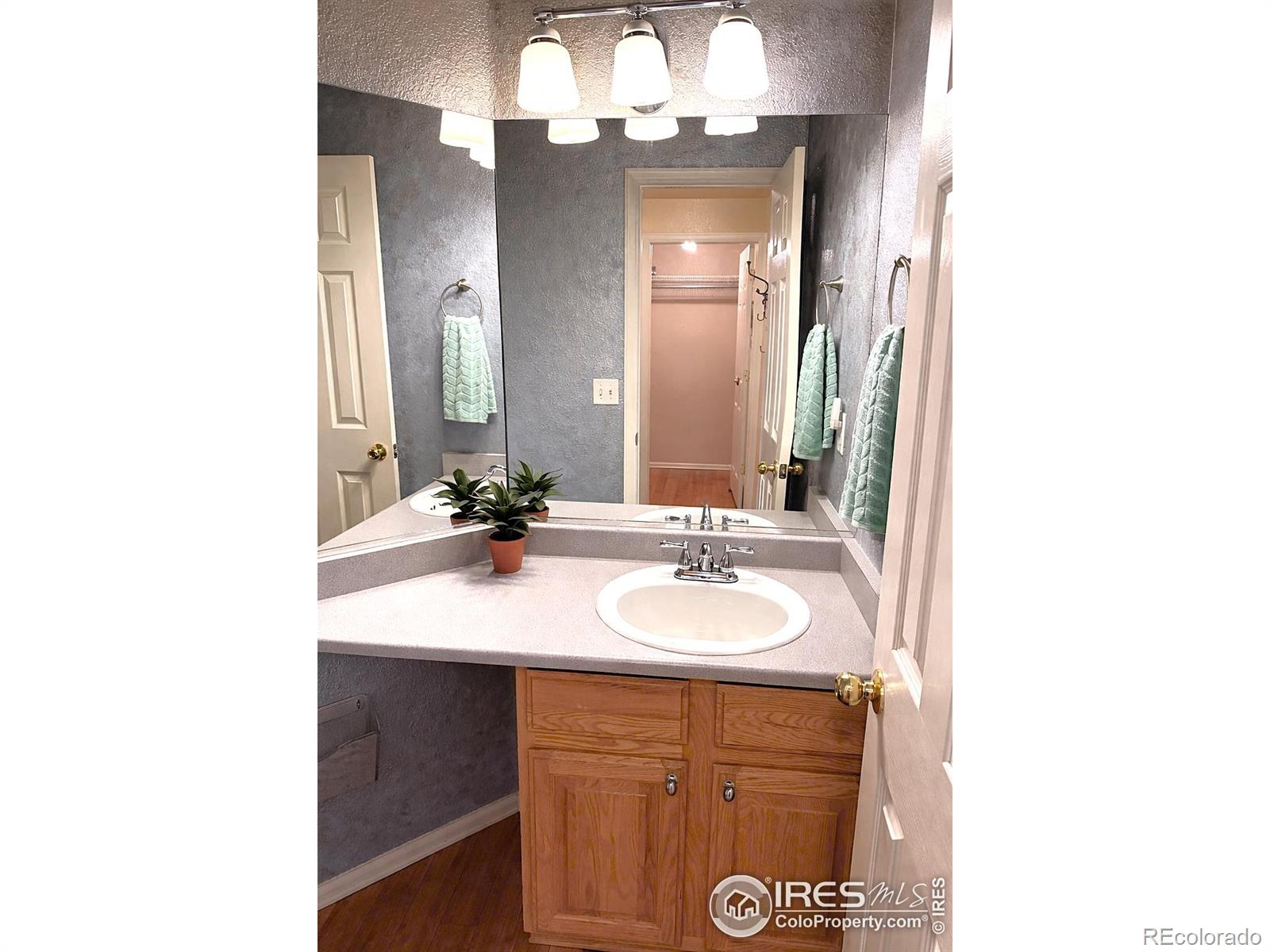 MLS Image #15 for 626  prichett court,fort collins, Colorado