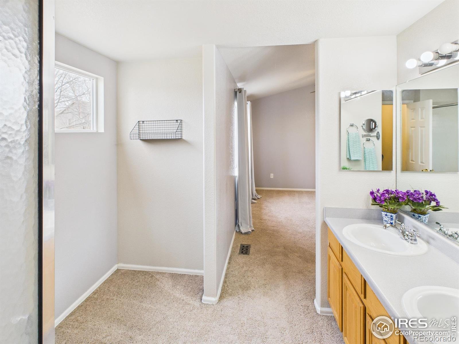 MLS Image #23 for 626  prichett court,fort collins, Colorado