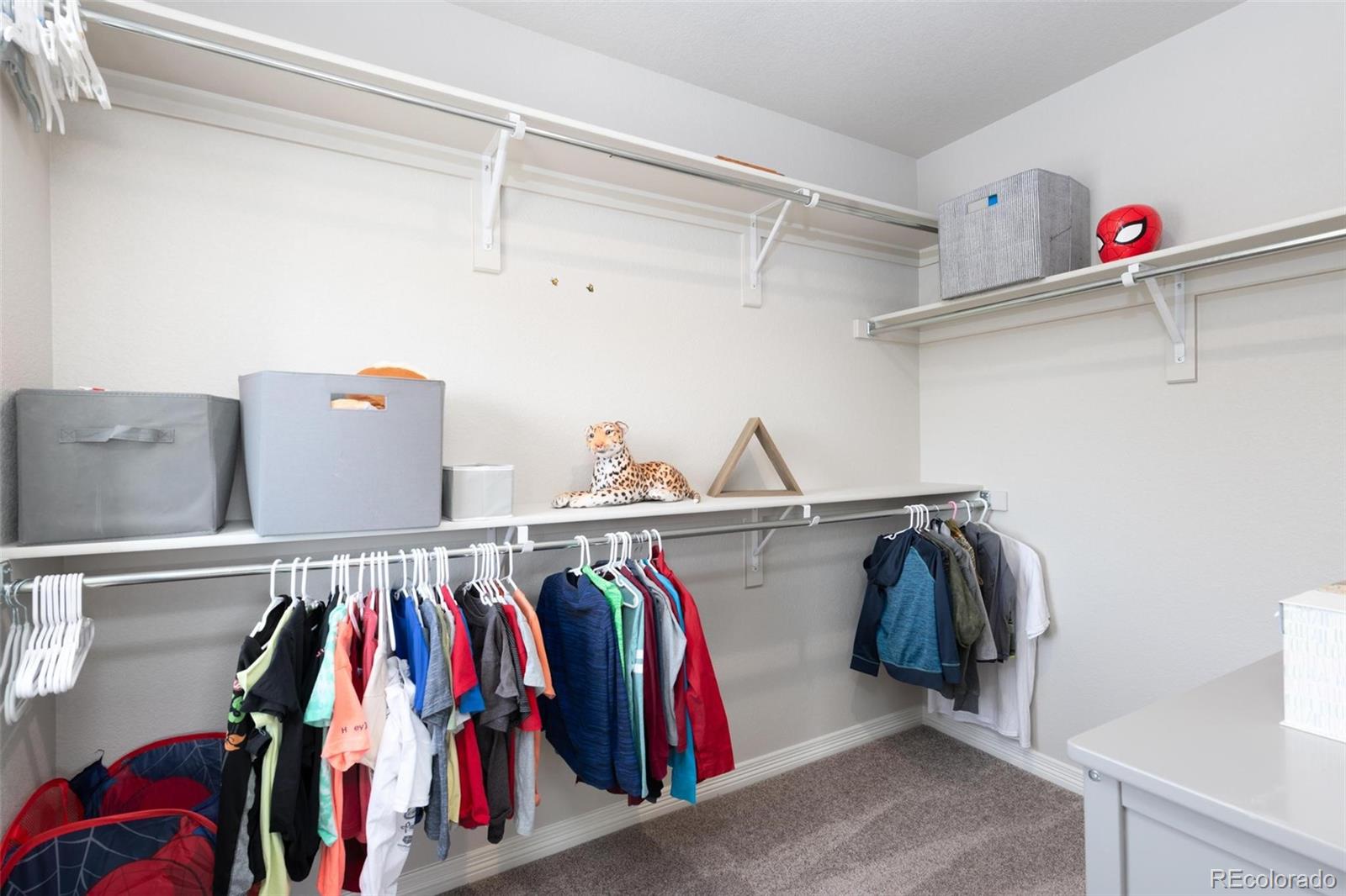 MLS Image #23 for 9709  quietwalk lane,peyton, Colorado