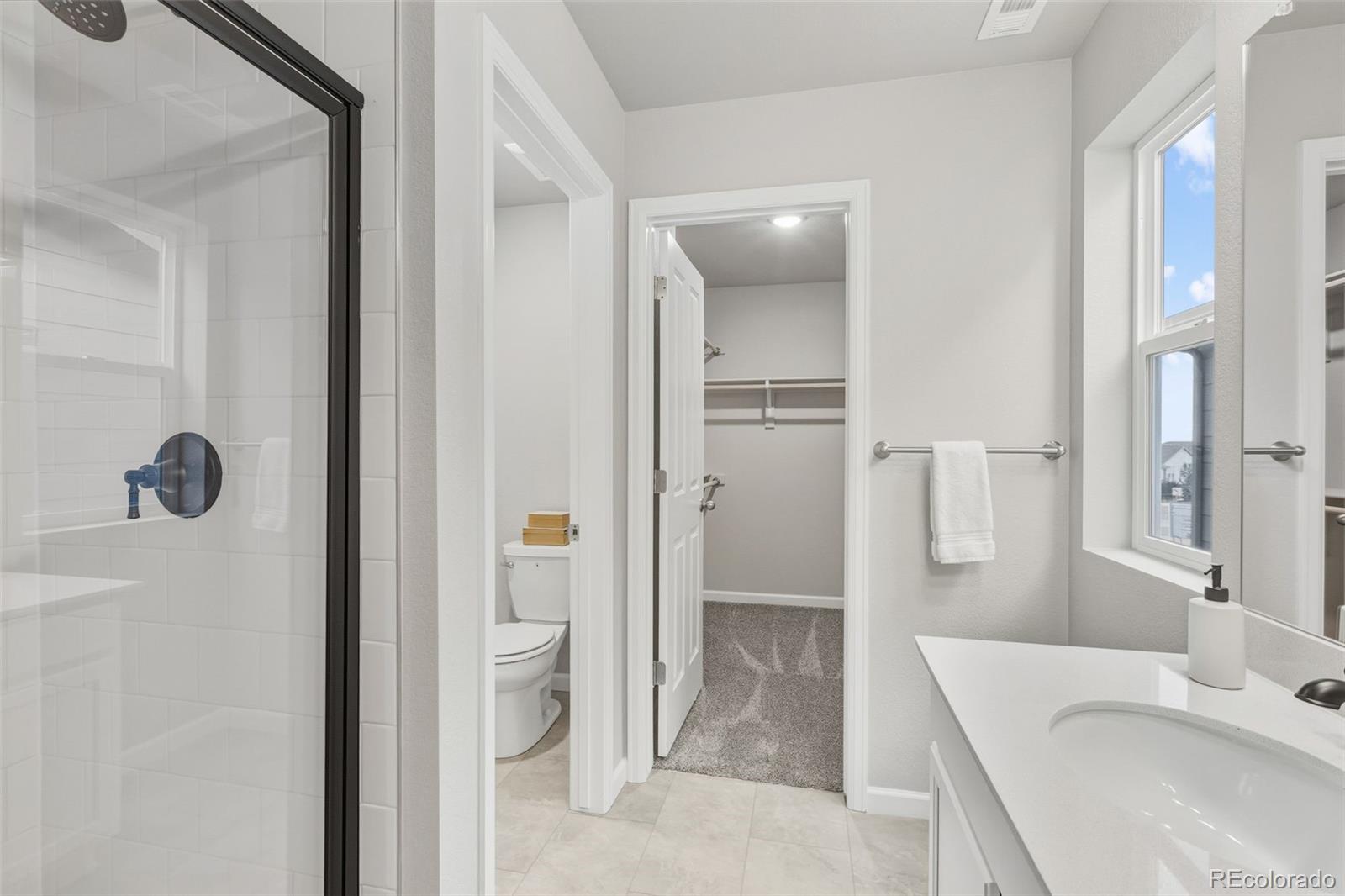 MLS Image #15 for 1488  coral place,longmont, Colorado