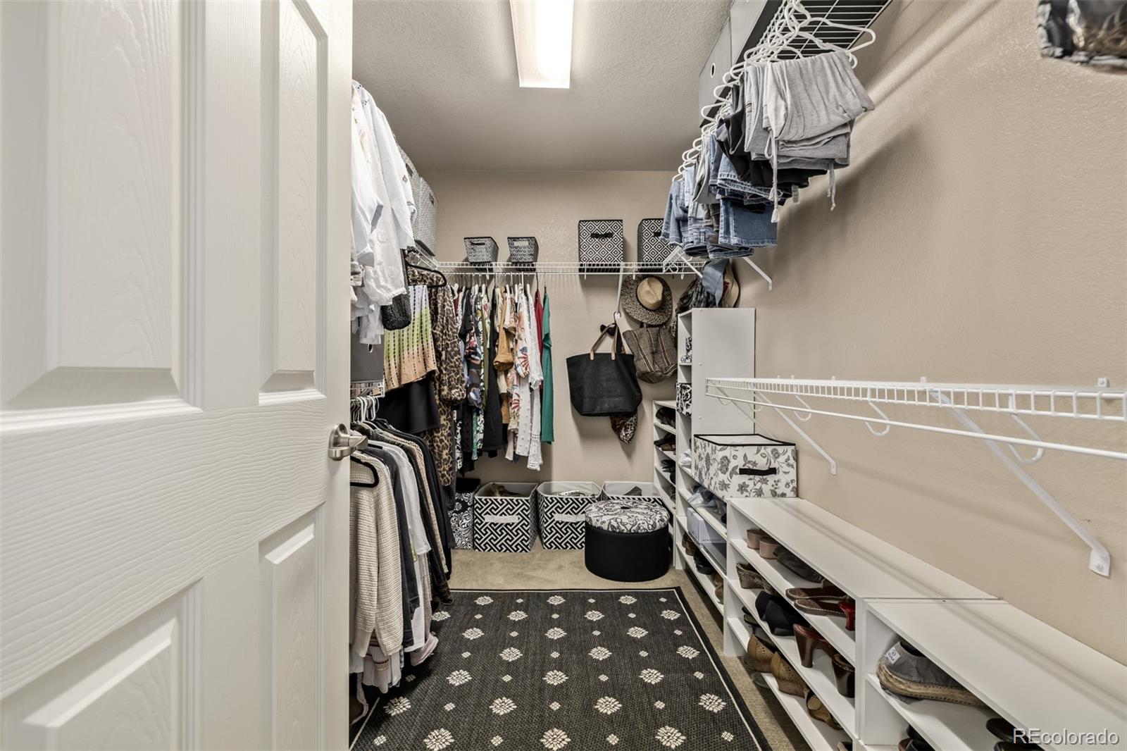 MLS Image #23 for 2289  moss place,erie, Colorado