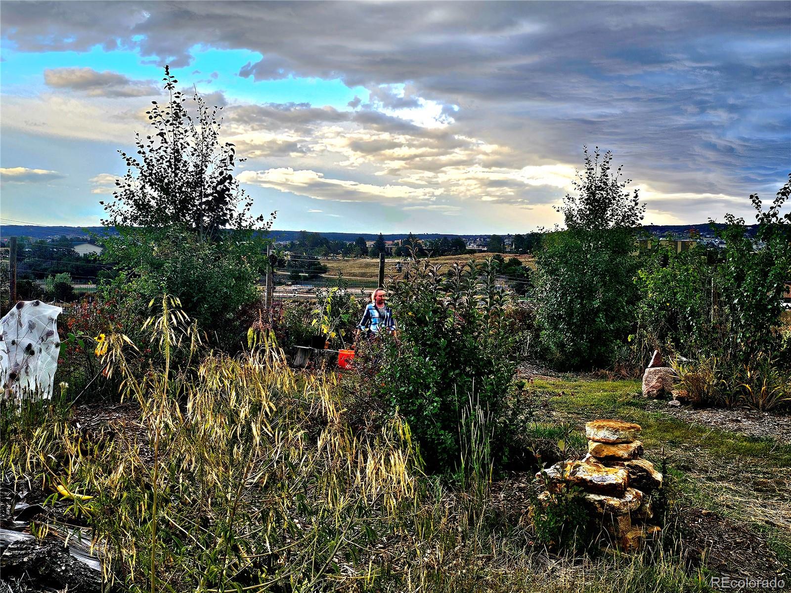 MLS Image #25 for 16435  fairchild avenue,monument, Colorado