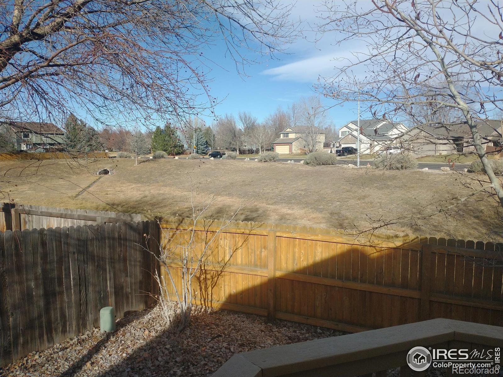 MLS Image #6 for 1516  willowbrook drive,longmont, Colorado