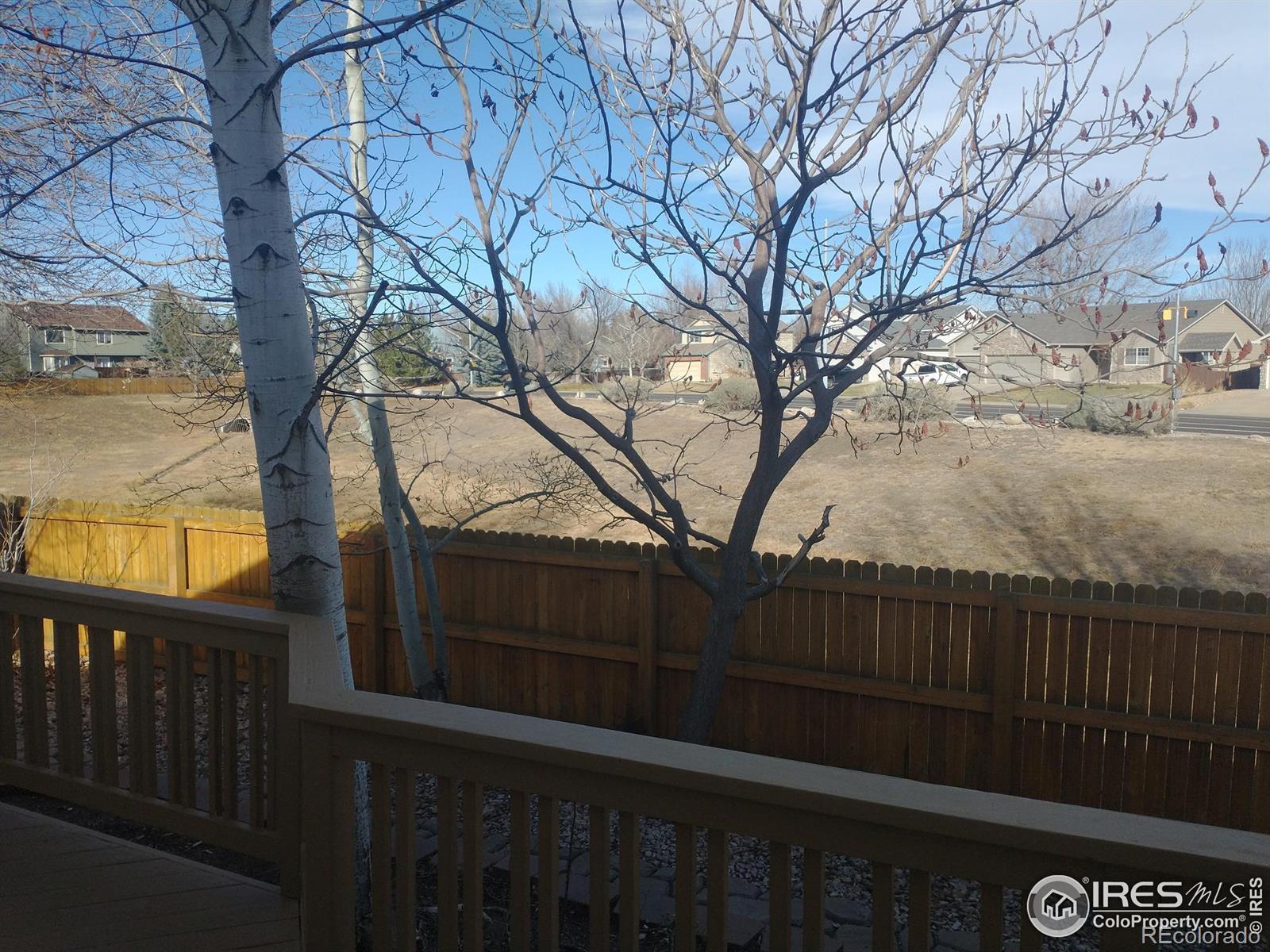 MLS Image #7 for 1516  willowbrook drive,longmont, Colorado