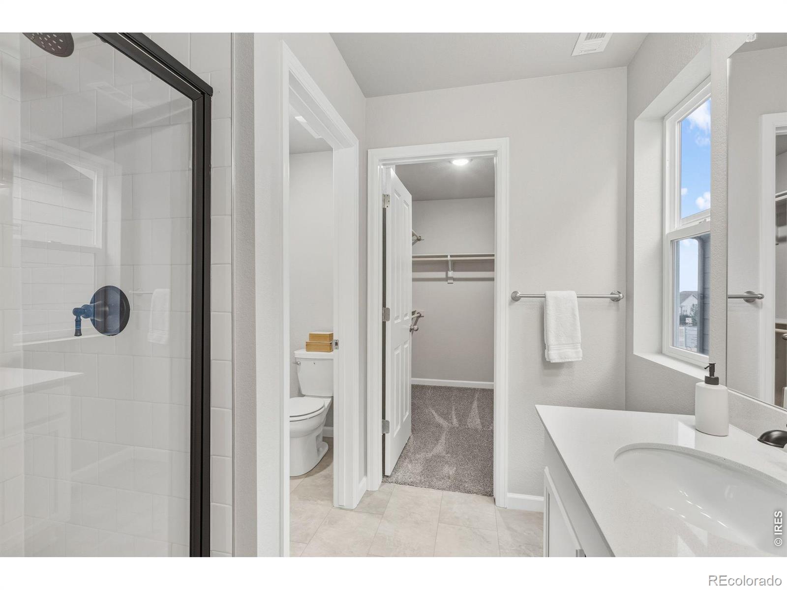 MLS Image #15 for 1488  coral place,longmont, Colorado