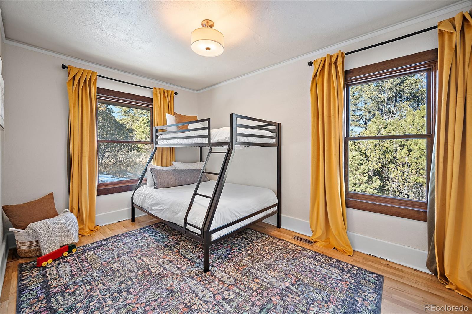 MLS Image #23 for 12375 n meridian road,elbert, Colorado