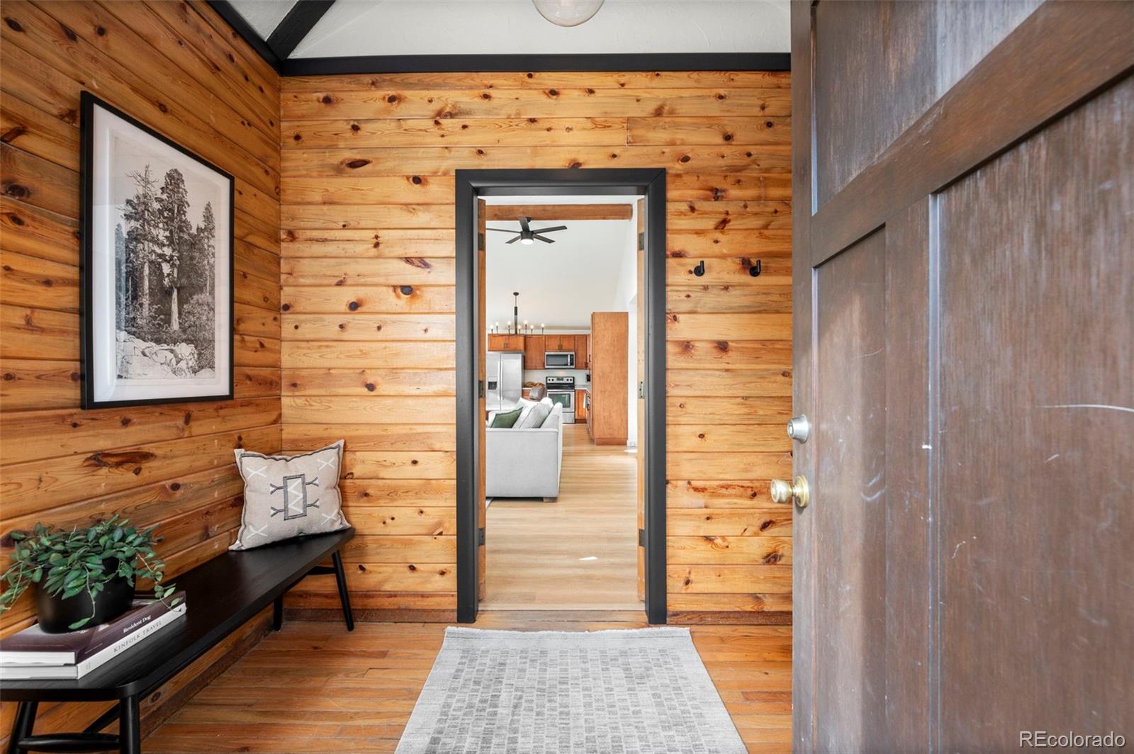 MLS Image #5 for 236  summit drive,bailey, Colorado