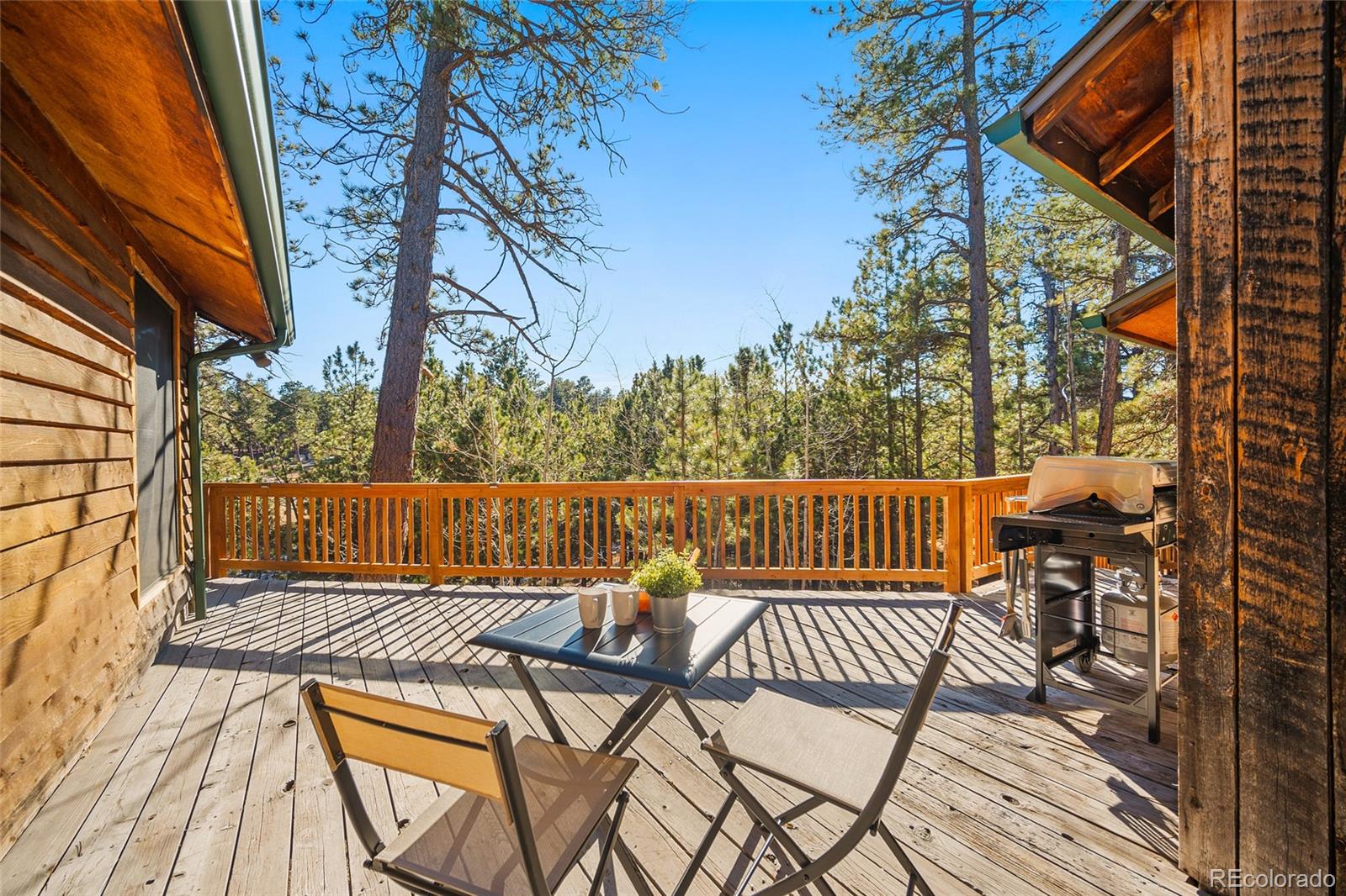 MLS Image #22 for 11855  grandin point,elbert, Colorado