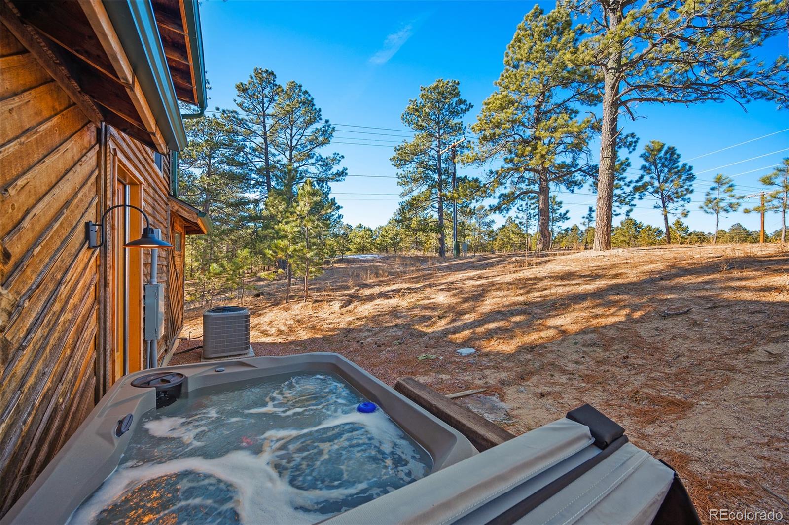 MLS Image #33 for 11855  grandin point,elbert, Colorado
